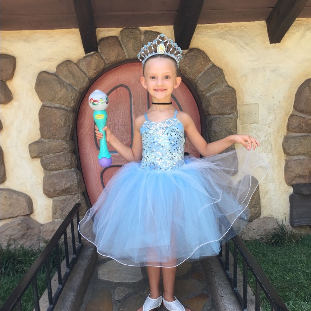 Custom Cinderella tutu